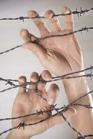 Hands in barbed wire photo