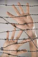 Hands in barbed wire photo