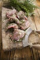 Portions of raw rabbit photo