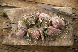 Portions of raw rabbit photo