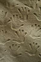 Handprints In The Sand photo