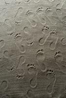 Foot prints in the sand photo