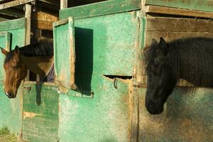 antiguo estable para caballos foto