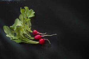 Fresh red radish photo