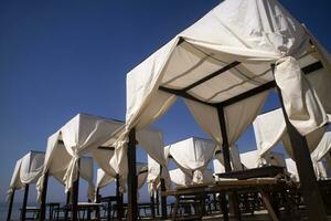 a group of white umbrellas photo