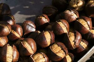 Autumn roast chestnuts photo