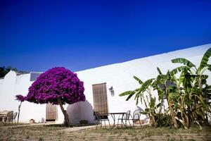 Particular architectural Masseria photo