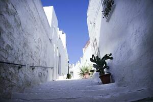 el blanco carreteras de ostuni foto