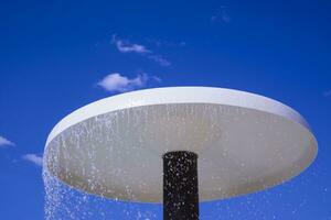 Mushroom in a park water photo