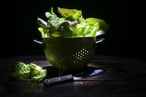 Presentation of green salad photo