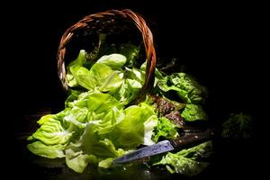 Presentation of green salad in basket photo