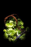 Presentation of green salad in basket photo