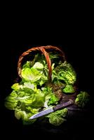 Presentation of green salad in basket photo