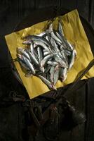 Raw anchovies in a flat scale photo