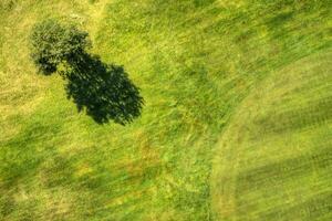 Golf field view from above photo