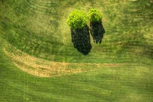 Golf field view from above photo