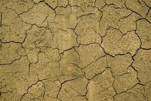 Land damaged by drought photo