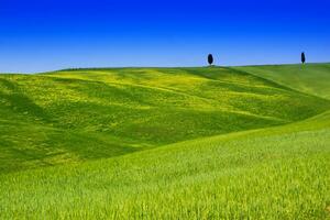 View of the Valley Orcia photo