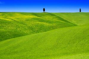 View of the Valley Orcia photo