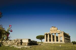 el antiguo restos de paestum foto