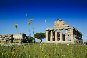 The ancient ruins of Paestum photo