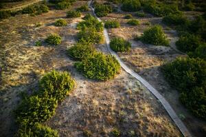 Pedestrian path for handicapped people photo