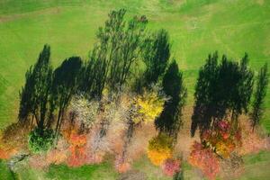 otoño visto desde encima foto