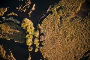 Swampy area of Lake di Porta photo