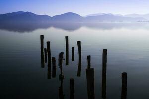 Lake Massaciuccoli in Versilia photo