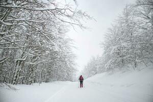 raquetas de nieve en el Nevado bosque foto