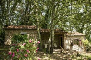 Tuscan style architecture photo