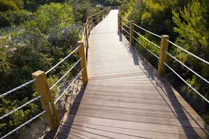 Path used for people with handicap photo