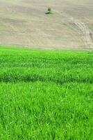 The Tuscan countryside photo