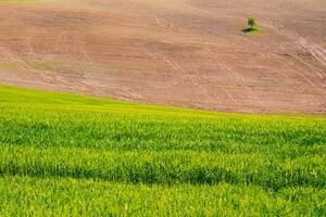 The Tuscan countryside photo