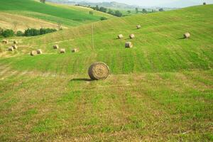 heno cosecha en toscana foto