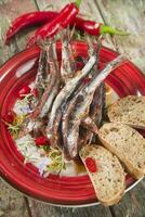 Plate of anchovies with chili pepper photo