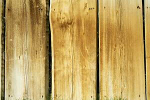 Fence made of wooden planks photo