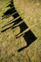 The shadow of clothes hanging photo