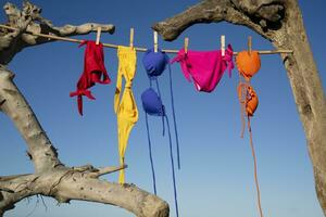 De las mujeres traje de baño a seco en un gratis playa foto