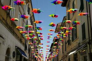 Pinwheels to color early summer in Pietrasanta Lucca Tuscany photo