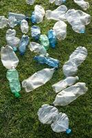 Used plastic bottles abandoned in a meadow photo