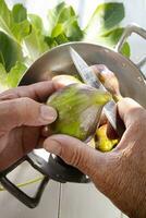 Tray of fragrant fresh seasonal figs photo