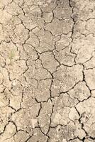 The effects of drought on the earth photo