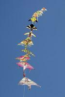 Series of colorful kites flying in the blue sky photo