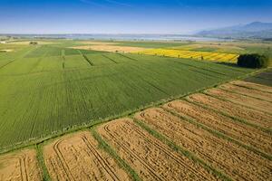 Cultivation of the fields seen from above photo