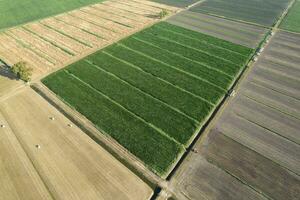 Cultivation of the fields seen from above photo