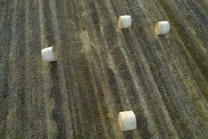 Classic straw balers in the summer season photo