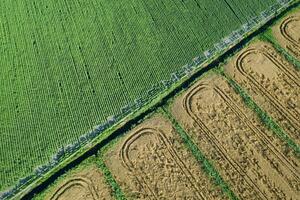 cultivo de el campos visto desde encima foto