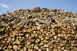 Stack firewood reserve for the winter photo