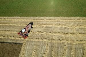 el trabajo de un trigo segador en el verano foto